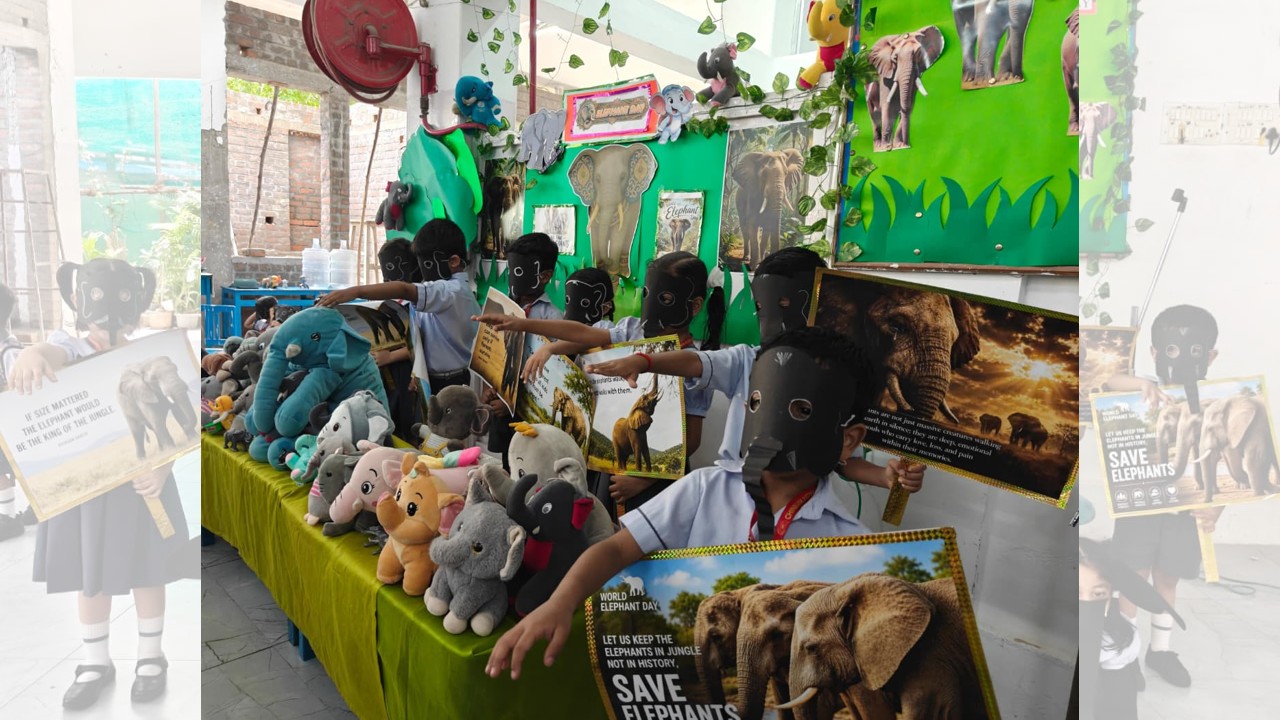 World Elephant Day Celebration